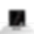 Image of desk sign for memory of the October 7th, 2023 - Four-Legged Dogs