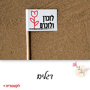 לזכרן ולזכרם - דגלים.jpg