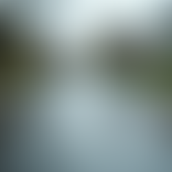 Understanding Flood Coverage Necessity: Do You Need Flood Insurance?