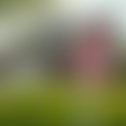 Understanding Life Insurance Importance: Top Benefits of Having Life Insurance