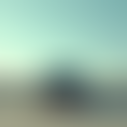 Understanding Rental Car Coverage: Is Rental Car Insurance Necessary?