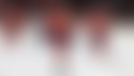 Les Panthers aux commandes