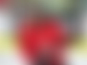 Pré-tournoi : Défaite difficile et effort pathétique