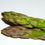 Thumbnail: Asparagus Soup RECORDING