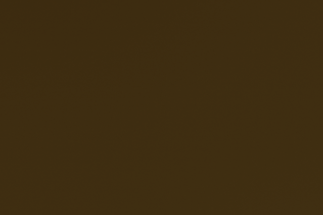 fundo marrom.png