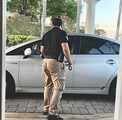TPG officer in action.jpg