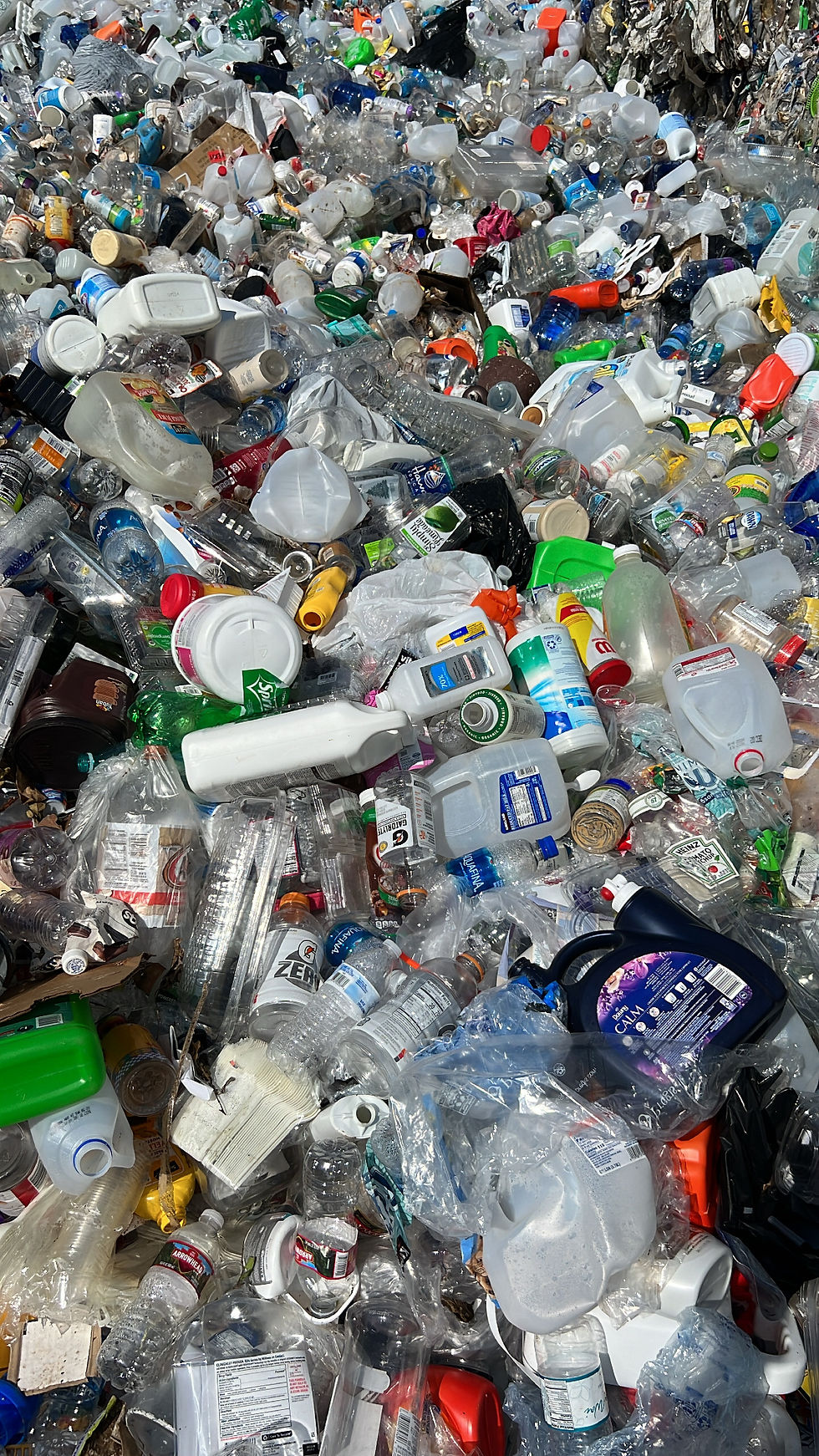 Eye-level view of a community clean-up event on a Kauaʻi beach