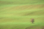 22496149_492958931075602_512478168063665