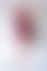 weekly neweros no.440