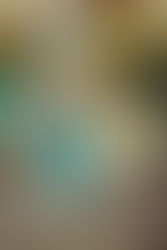 weekly neweros no.528