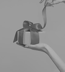 Wrapped Gift_edited.jpg