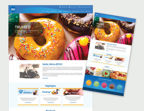 DBdesign Website Design Example