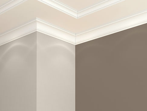 Elegant Ceiling Design
