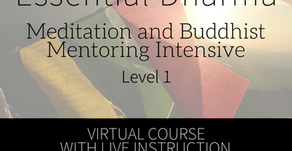 Mentoring Opportunity!