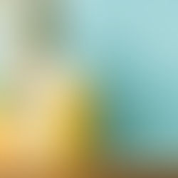 Tropical Recovery Smoothie