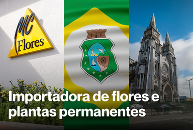 Fornecedor de Plantas Permanentes em Ceará | MC Flores