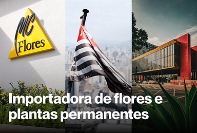 Fornecedor de Plantas Permanentes em São Paulo | MC Flores