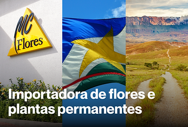 Fornecedor de Plantas Permanentes em Roraima | MC Flores