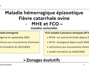 FCO BTV3 et MHE - point sur la situation au 05.09.2024