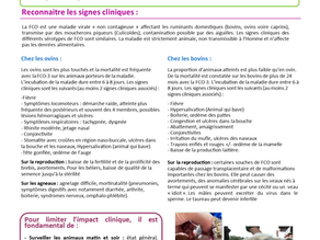 2024 08 09_ Fiche FCO-3 GE-HM