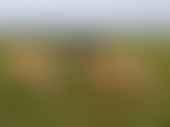 FCO – Anticipez la saison virale 2026 !