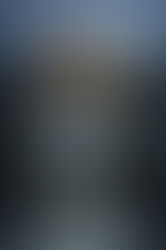 The retreat by Mark Edwards