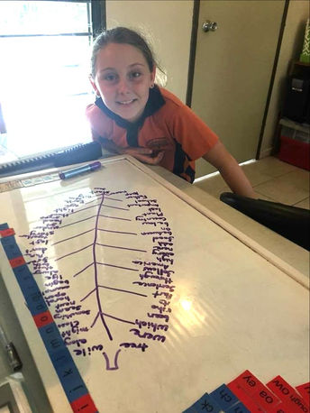 Working hard on the whiteboard!