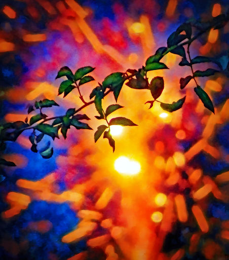 photo of fireworks behind a branch of leaves