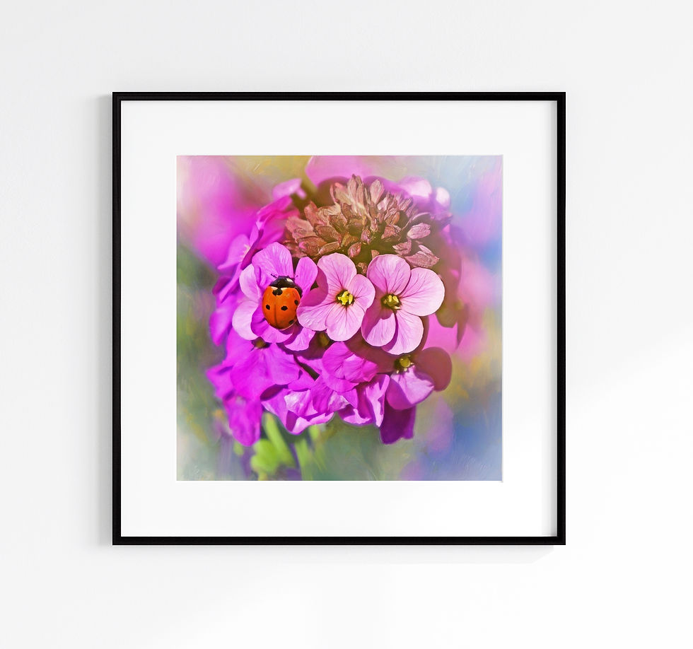 Thumbnail: Original Photography - Ladybug on Purple Flowers, Colorful Botanical Wall Art