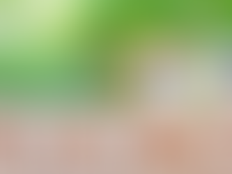 Tenant-Based Rental Assistance (TBRA) in Louisiana: What You Need to Know