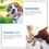 Thumbnail: Large Dog Squeaky Toys Stuffed Animal Dog Plush Toy Dog Interactive Toy - Plush 