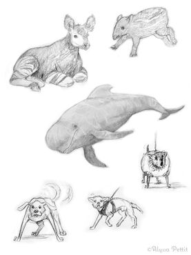 Sketchbook_other.jpg