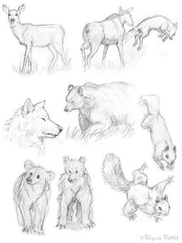 Sketchbook_forest.jpg