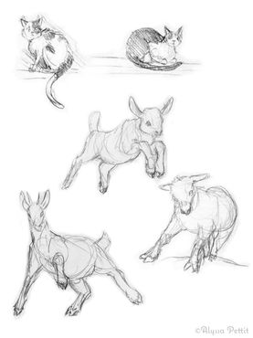 Sketchbook_barnyard.jpg
