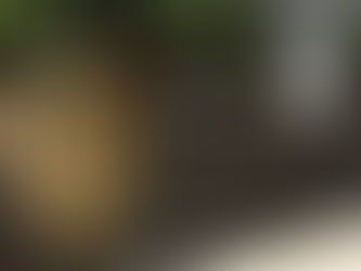 Huge Netflix-Warner Bros. Deal Attracts Heat from Politicians