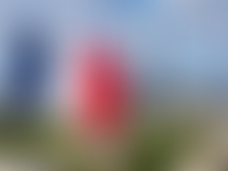 France becomes the first government to support UN Open source principles