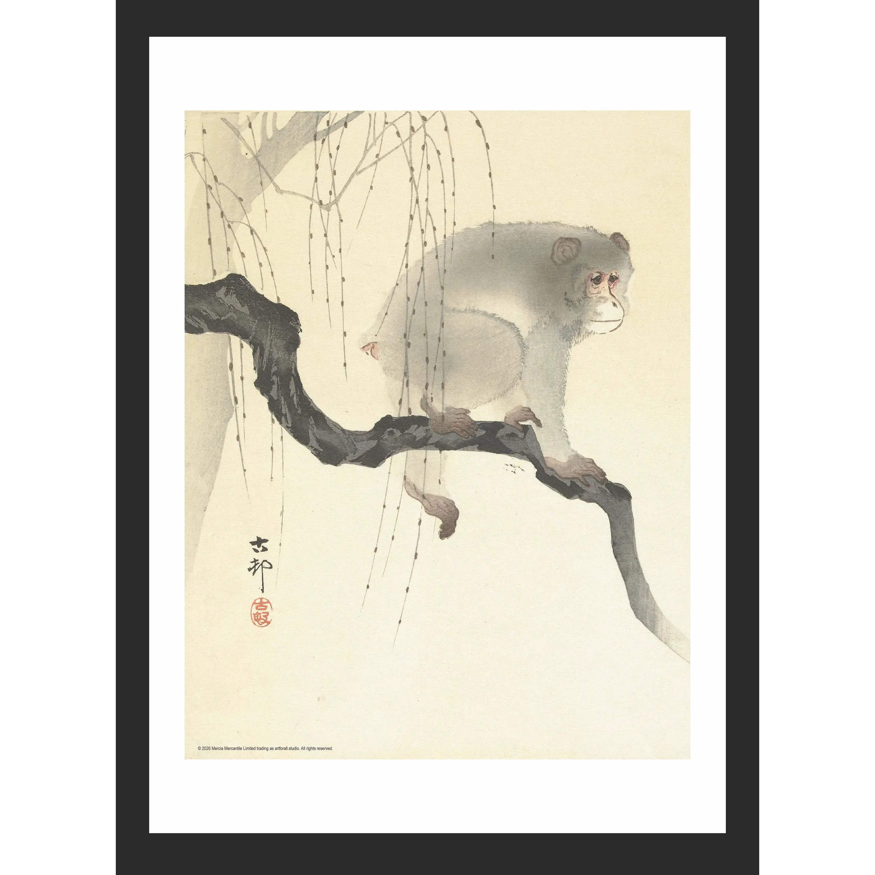 Macaque monkey with soft, detailed fur hanging from a blossoming branch against a simple, atmospheric background.