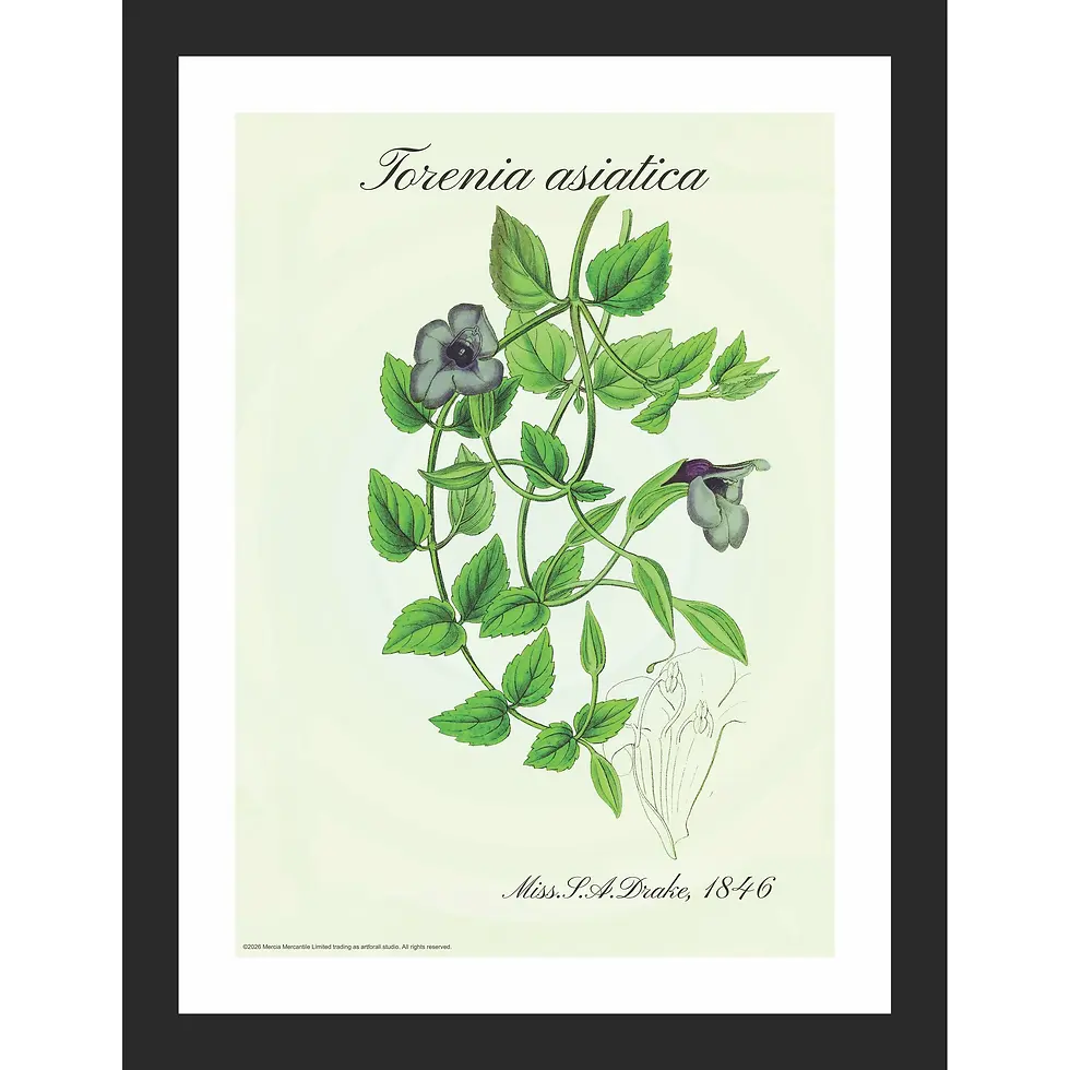 Blue-purple flowers on green leafy stem