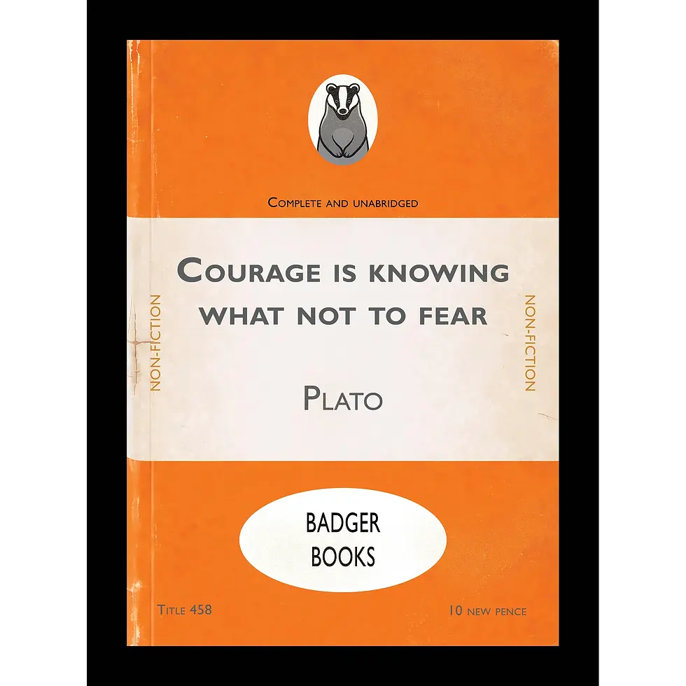 Courage is Knowing What Not to Fear