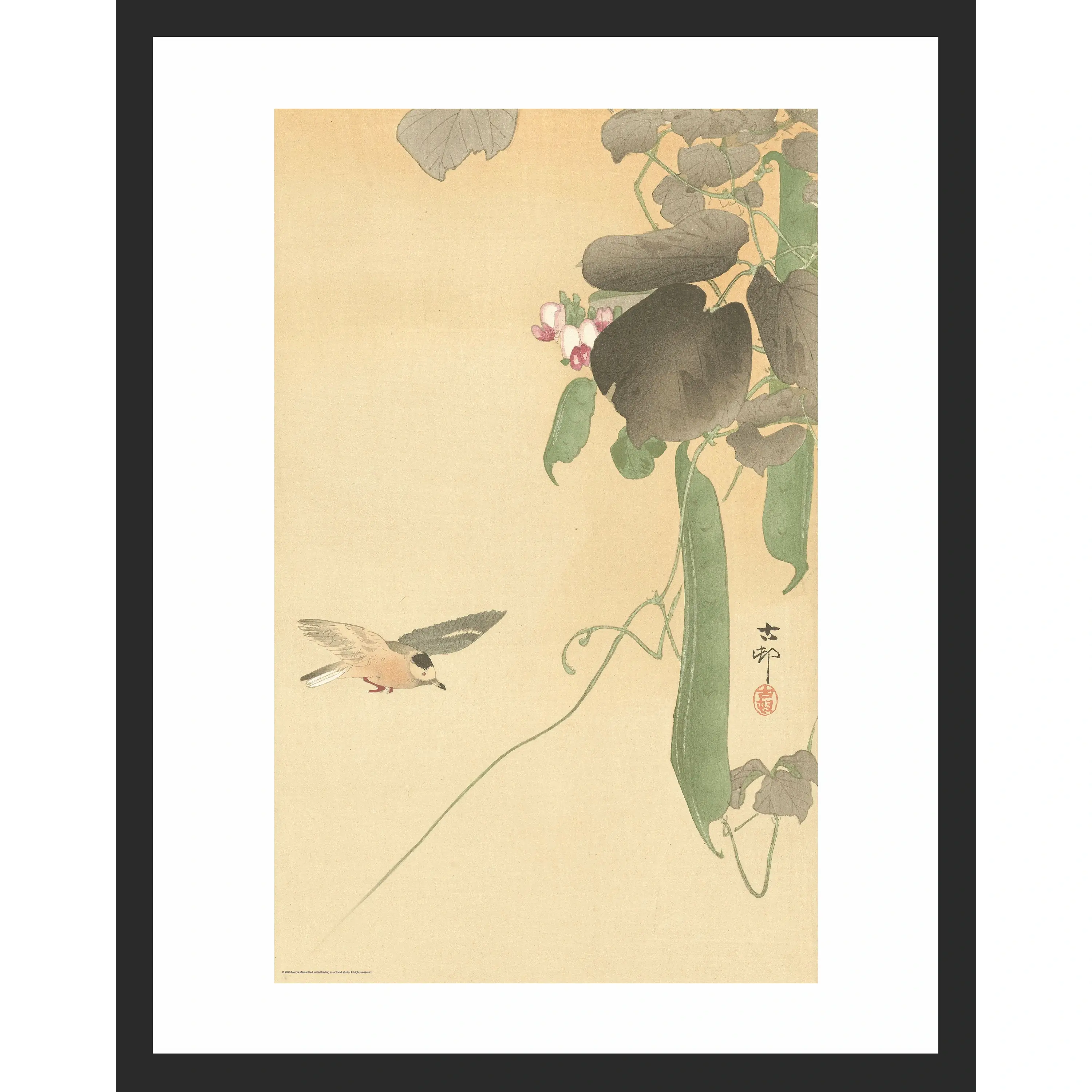 A small bird perches on a slender bean plant with green leaves, pink flowers, and hanging pods.