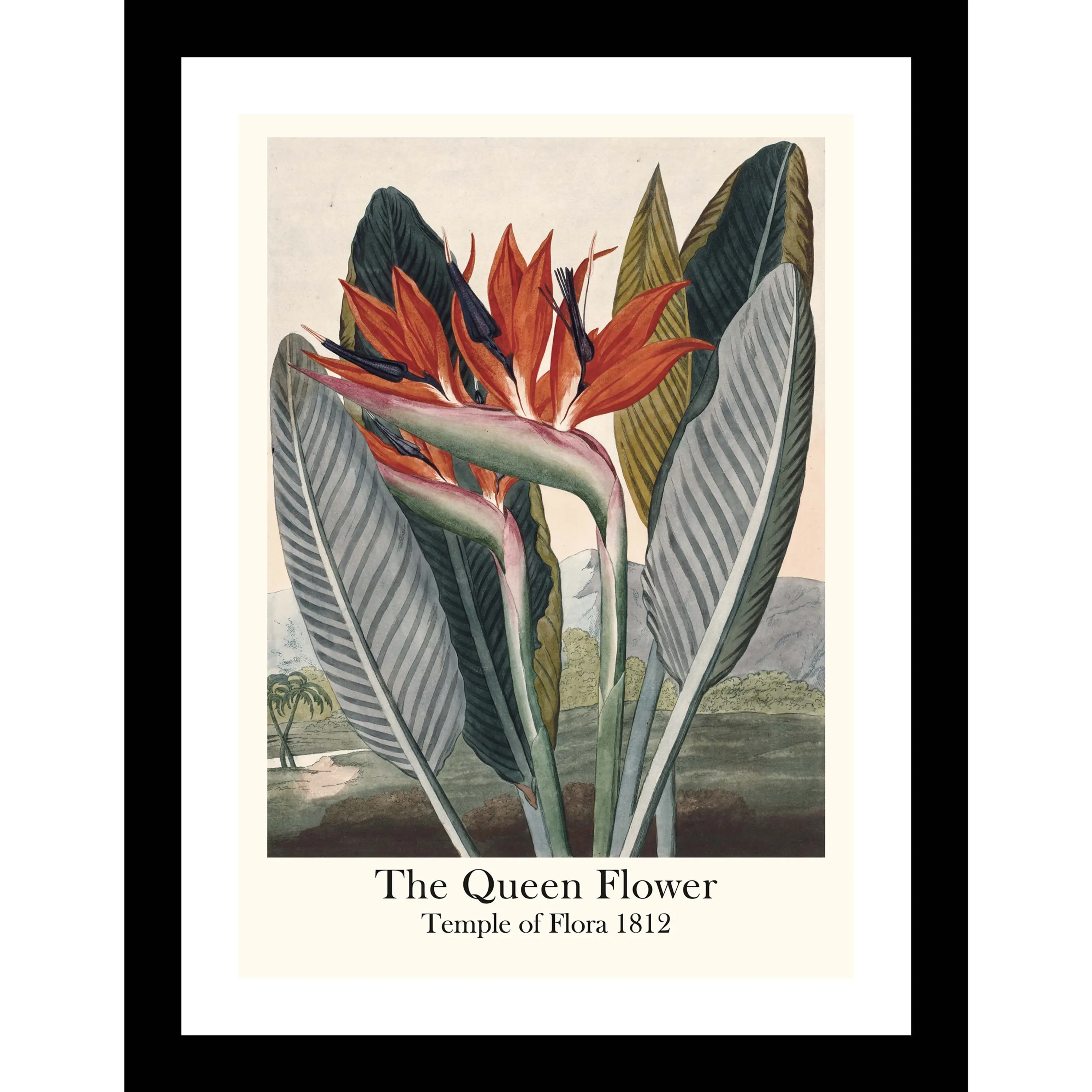 Bright orange and purple Bird of Paradise flower against a dark, tropical coastal landscape and a stormy sky.