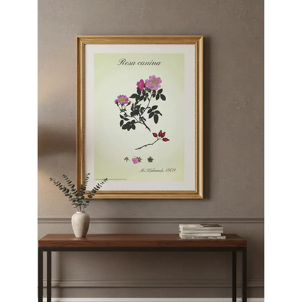 Two large pink flowers with green leaves