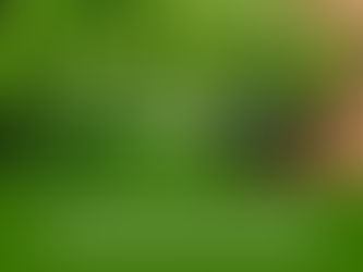 Learn about Thyme in your spare time!