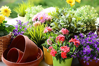 istockphoto-462671801-612x612.jpg