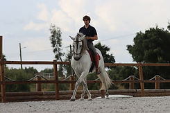 IMG_2380.JPG