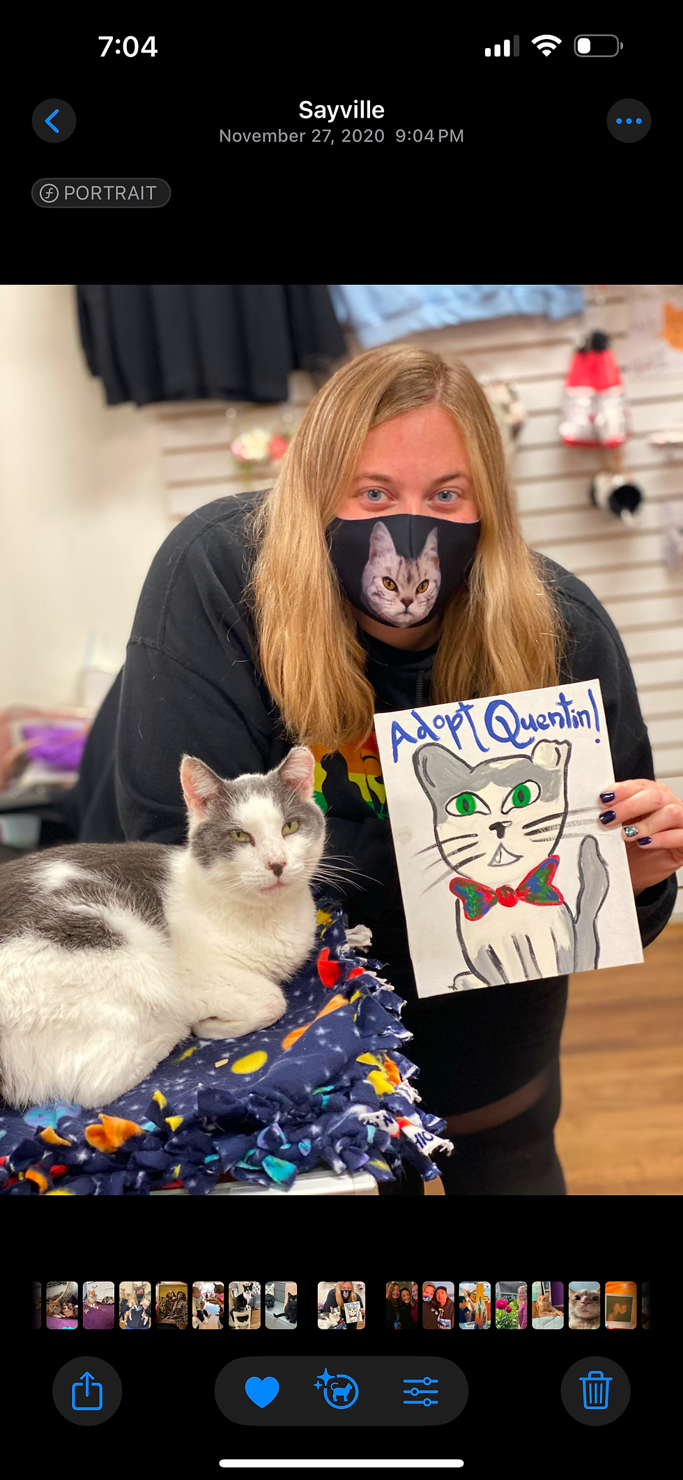 Paint OUR Cats!