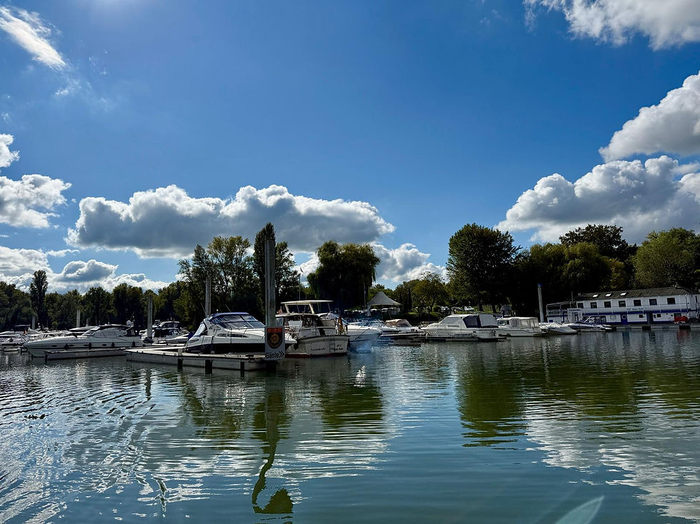 WhatsApp Image 2026-02-10 at 08.28.26 (2).jpeg