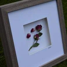Framed Bouquets
