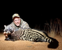 woody civet 2
