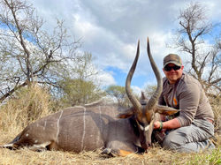 wade nyala 1